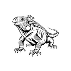 Obraz premium Silhouette of a iguana lizard reptile tropical animal wildlife.