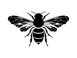 Silhouette of a honey bee insect.
