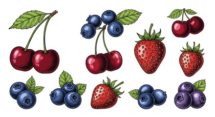 A vibrant collection of hand-drawn berries including cherries, blueberries, and strawberries, perfect for healthy food designs and organic labels.