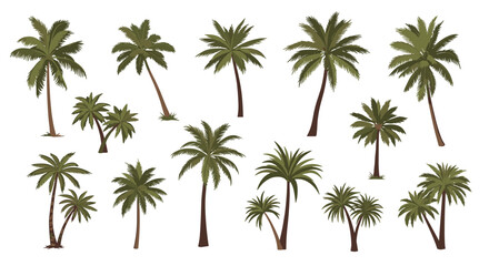 Fototapeta premium Diverse collection of palm trees, featuring individual and grouped tropical illustrations on a white background.