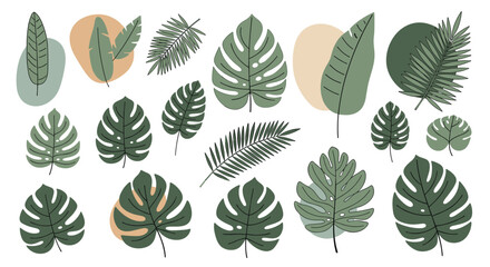 Set of hand-drawn stylized green tropical leaves and foliage with abstract organic shapes for a botanical summer design.
