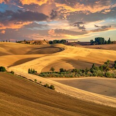Golden Fields at Sunset - A Serene Landscape of Tuscany, Italy.