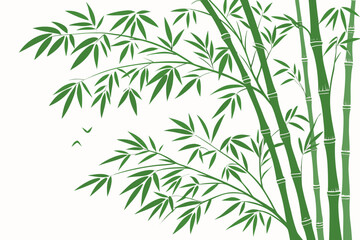 Fototapeta premium bamboo leaves on white background