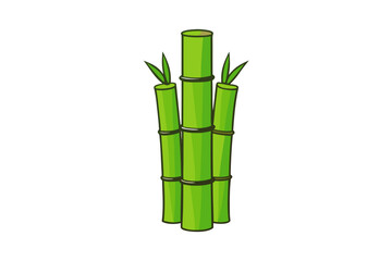 Fototapeta premium bamboo isolated on white