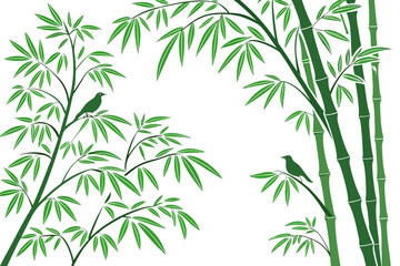 Fototapeta premium green bamboo leaves