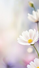 white flowers on a green background
