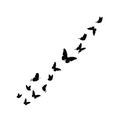 Fototapeta premium A swarm of butterflies in flight forming a dynamic diagonal silhouette