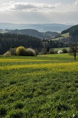 Fototapeta premium landscape in the mountains