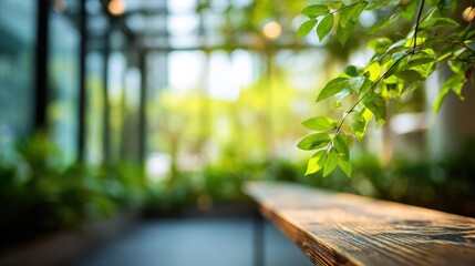 Wooden bench in sunlit, green space, with leaves and blurred background