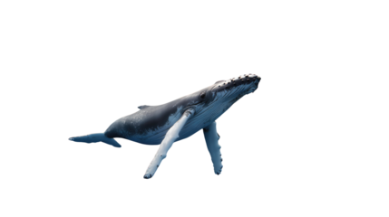 Whale Undersea Grace: A majestic whale gracefully swims in a vast underwater realm, embodying the mystery and wonder of the deep ocean.