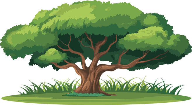Vector illustration of large leafy tree with thick brown trunk, green canopy, branching structure, and grassy base on white background
