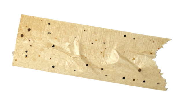 Worn Wooden Strip: A close-up shot of a weathered, textured piece of wood with irregular edges, revealing its natural grain and signs of age and wear.