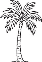 Obraz premium Tropical palm tree with arching fronds