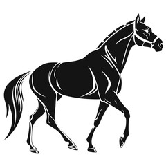 horse vector illustration