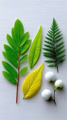 Flat lay arrangement of vibrant green tropical leaves and delicate white flower buds on a textured white wooden surface showcasing natural organic beauty and simplicity