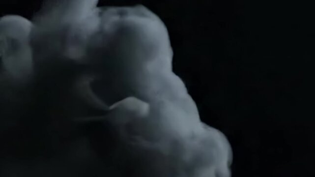 High definition rendering of atmospheric effects, suitable for overlays and background elements in creative visual projects. Wide shot revealing the full extent of the smoke's organic expansion?