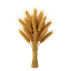 Fototapeta premium Golden wheat stalks tied together with twine on a black background