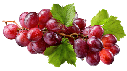 Red grapes placed on a white background, View from directly above.