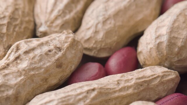 Closeup view of fresh peanuts on wooden table. Macro shot