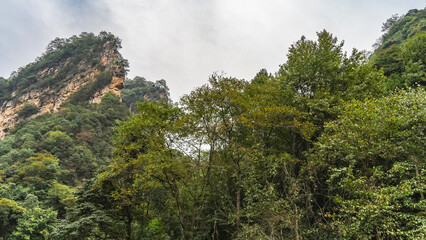 A picturesque mountain against the sky and clouds. There is green vegetation on the steep slopes of the cliff. There are trees in the foreground. China. Golden Whip Brook. Wulingyuan National Park