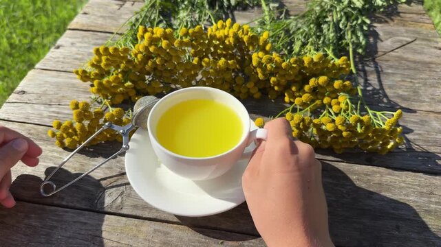 a cup of tansy tea on a saucer and the flowers of a plant. A tansy drink, whether it is an infusion or a decoction, has choleretic and antispasmodic properties.