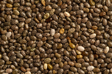 A top-down macro photograph captures a pile of dry chia seeds (Salvia hispanica). The seeds show a characteristic mottled pattern with various shades of black, grey, white, and brown.