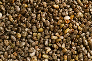 A top-down macro photograph captures a pile of dry chia seeds (Salvia hispanica). The seeds show a characteristic mottled pattern with various shades of black, grey, white, and brown.