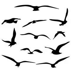 Flying Bird Silhouettes - Whi...