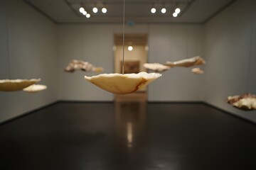 Floating sculptures in modern art gallery with sleek black floor and bright lighting