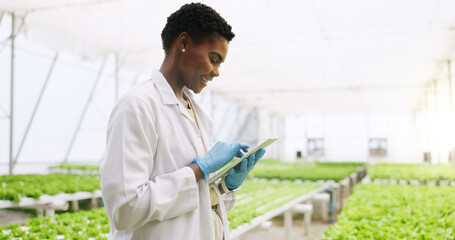 Black woman, tablet and scientist in greenhouse with report, review or vegetables for growth. Person, agriculture and sustainability with tech, app or profile with gmo leafy greens for agro research