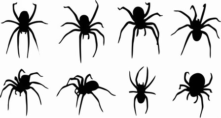Set of spider silhouettes Vec...