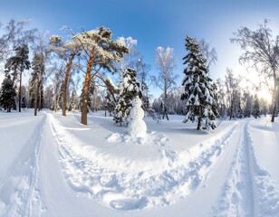 Obraz premium Snowy winter park with a snowman surrounded by trees and trails