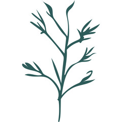 Teal abstract botanical branch with delicate leaves on a transparent background minimalist vector illustration