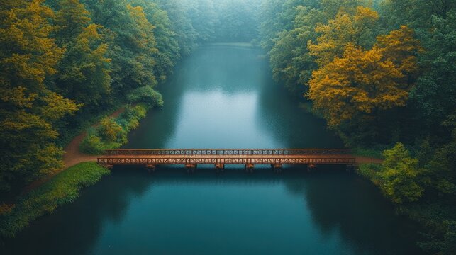 Serene Bridge over the Lake: A tranquil lake scene where a sturdy wooden bridge gracefully spans the calm water, framed by lush greenery and the ethereal mist of a serene landscape.