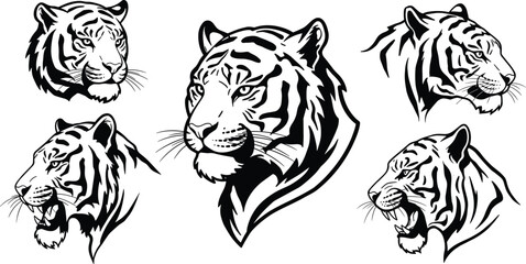 Tiger head illustration set, stylized animal sketch, bold line tiger art, expressive tiger faces, wildlife drawing, black and white vector
