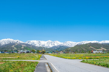 白馬三山　春　白馬村 © Mugi