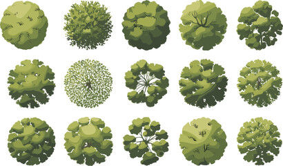 Top view tree canopy illustration, stylized foliage circle design, landscape architecture vegetation, green nature pattern, environmental planning element, botanical texture, © Shami's World