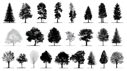 set of trees vector on white background