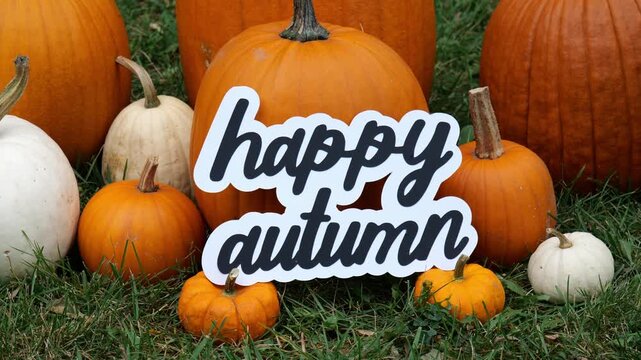 Person sets the wording Happy Autumn on a Pile of Pumpkins at a Pumpkin Patch 4K Video Stock Footage