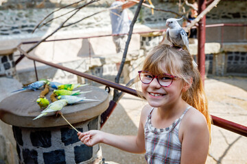 Excited little school girl with eyeglasses feeding colorful parrot birds at zoo or aviary. Happy child interacting with animals outdoors. Real life authentic family lifestyle moment