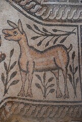 Mosaic art at Stobi, Archaeological site, Macedonia