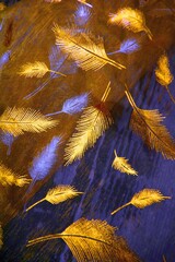 goldene federn freiraum,text,holz