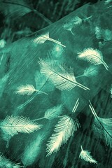 federn auf holz textfreiraum