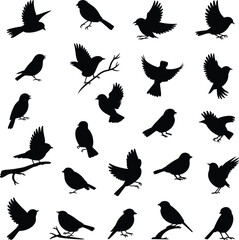 Bird silhouettes, flying poses, perched birds, black shapes, wing variation, tail feathers, avian grid, nature icons, motion study, bird anatomy, wildlife illustration