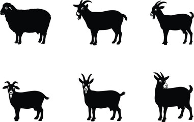 Goat and sheep silhouettes, farm animals, livestock identification, horn shapes, animal posture, breed comparison, black vector icons, rural life, agriculture graphics