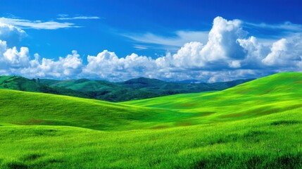 Obraz premium Expansive Green Hills Under a Blue Sky with Fluffy White Clouds and Lush Vegetation in a Serene Natural Landscape
