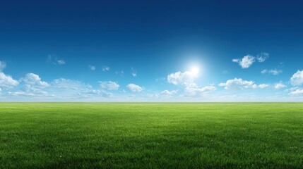 Fototapeta premium Vast Green Field Under Clear Blue Sky with Bright Sunlight and Fluffy White Clouds in a Peaceful Natural Landscape