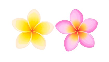 Naklejka premium Two stylized frangipani flowers, one yellow, one pink, on white