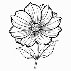 black and white flower