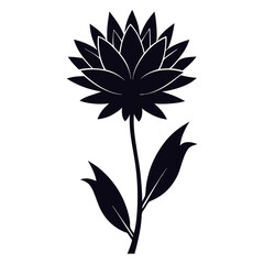 black and white flower